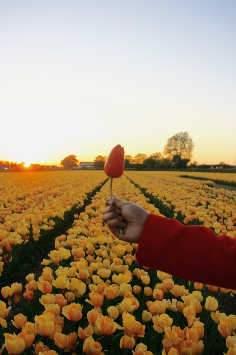 Processed with VSCO with m5 preset