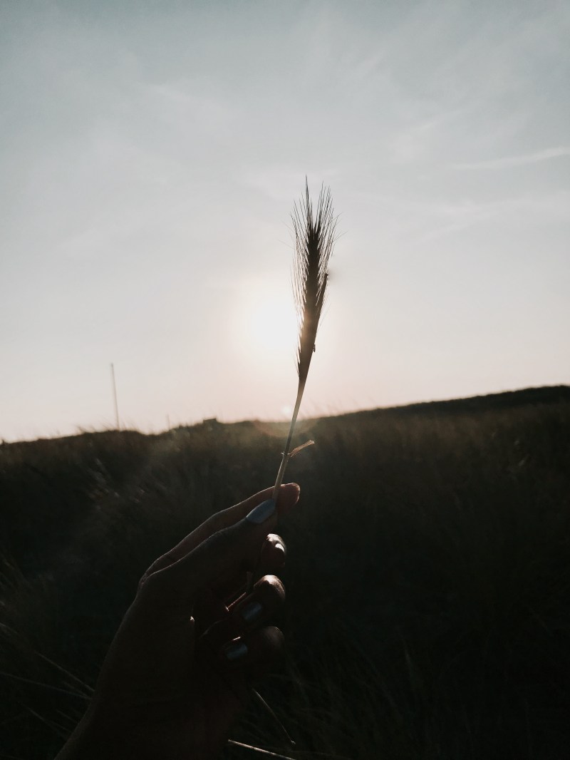 20180606_184202771_iOS